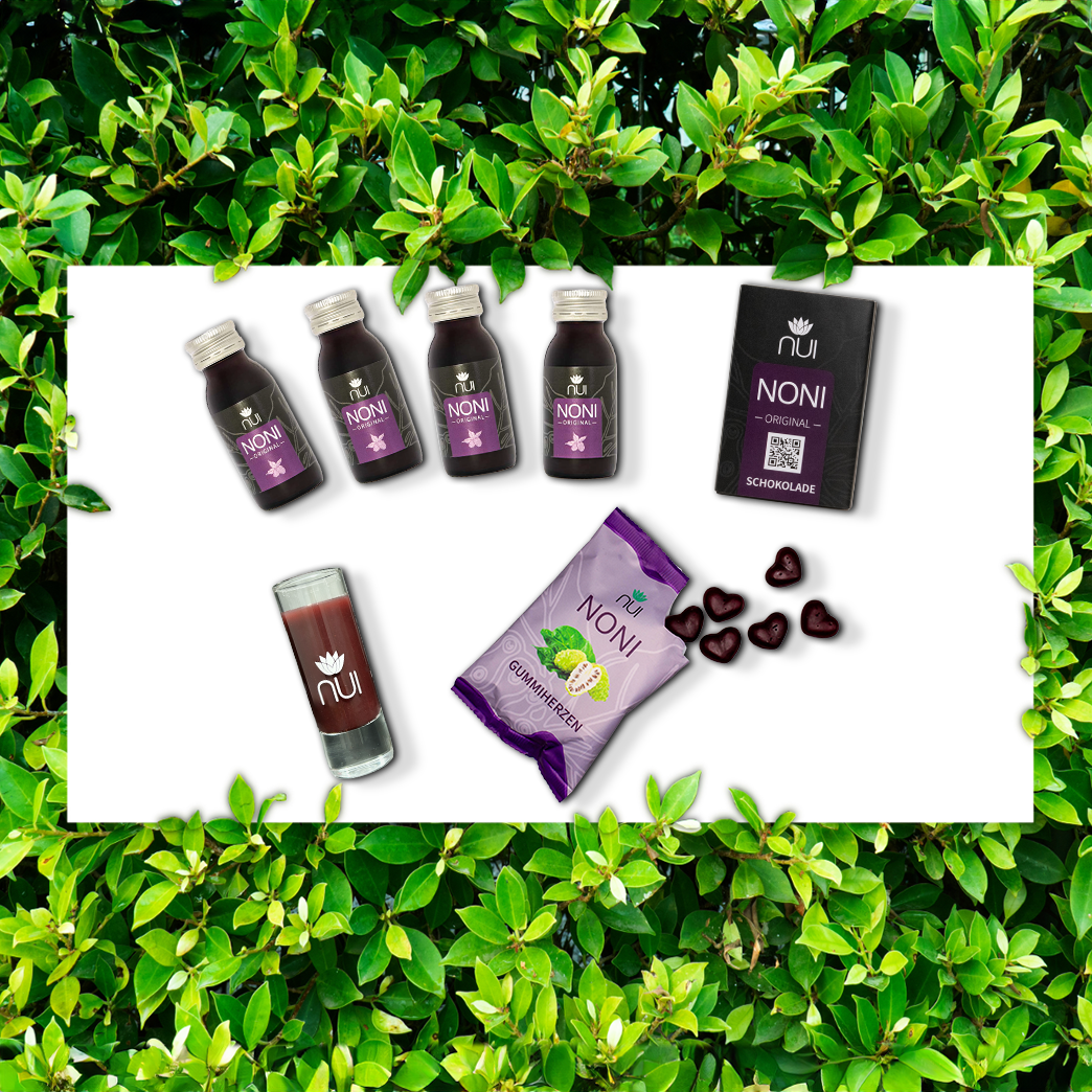 NUI Energy & Sweets Paket