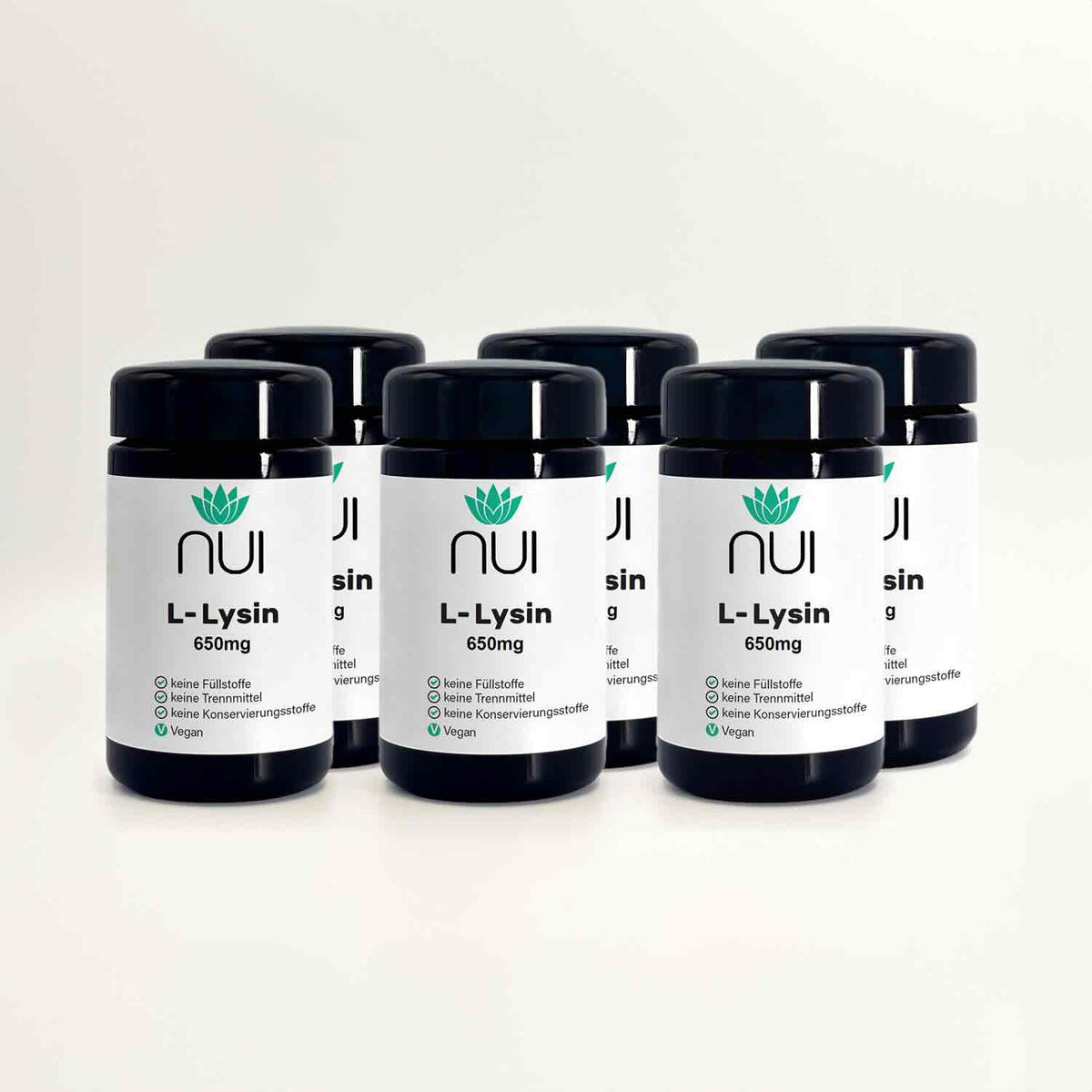 NUI L-Lysin 6er Packung