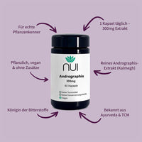 NUI Andrographis – 60 Kapseln mit 300 mg reinem Andrographis-Extrakt (Kalmegh), bekannt als „Königin der Bitterstoffe“. Pflanzlich, vegan und frei von Zusätzen. 