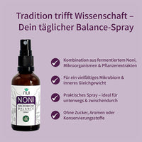 NUI NONI Microbiom Balance Spray kombiniert fermentiertes Noni, Mikroorganismen und Pflanzenextrakte für ein gesundes Mikrobiom. Zucker- und konservierungsstofffrei, ideal für unterwegs.