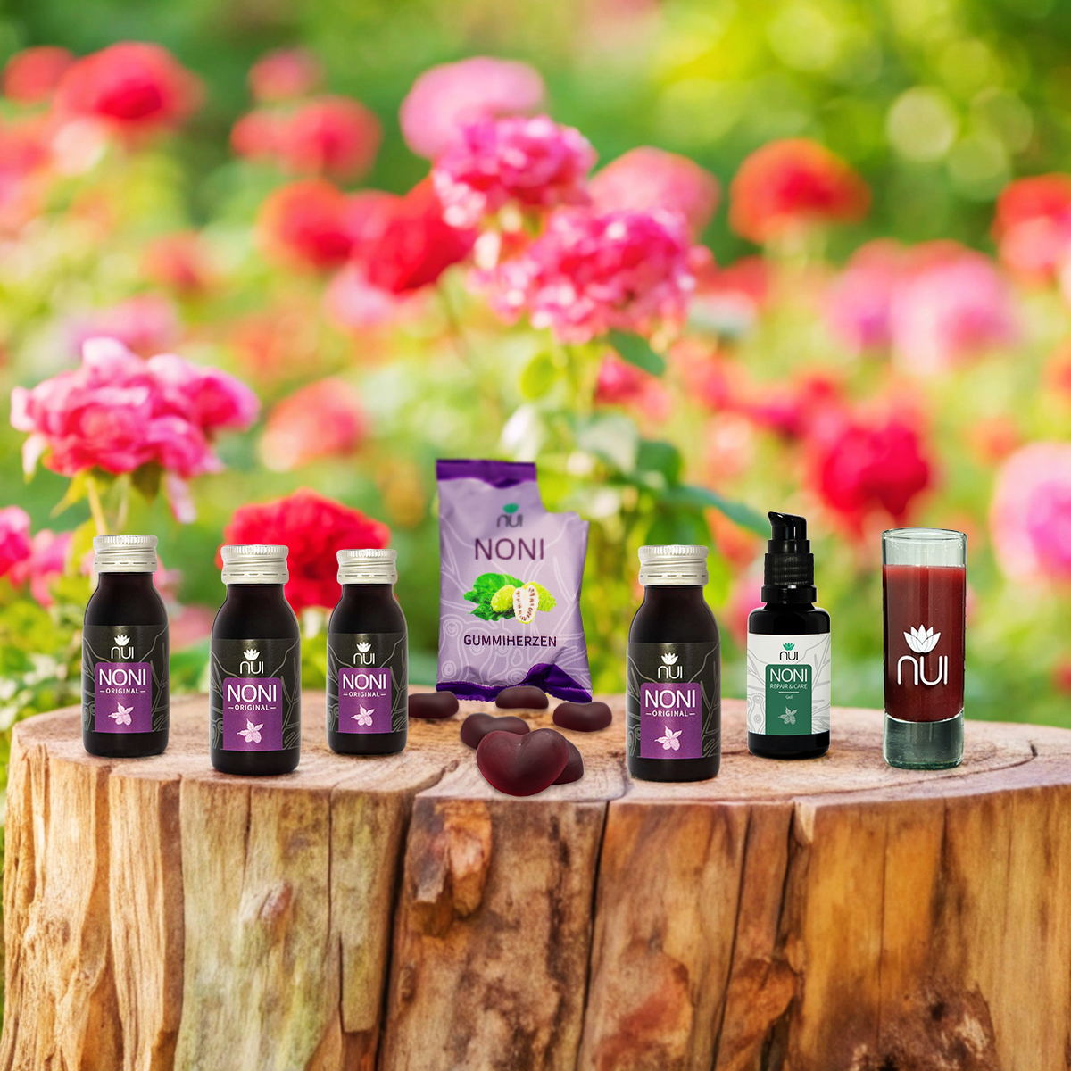 NUI Refresh & Recover Paket