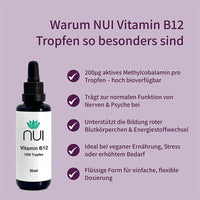 NUI Vitamin B12 Tropfen – mit 200 μg Methylcobalamin, unterstützt Nerven, Psyche & Blutbildung, ideal für Veganer.
