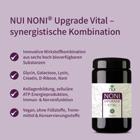 NUI NONI UPGRADE VITAL